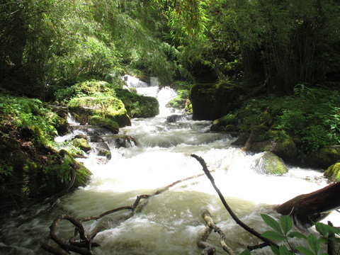 青山绿水