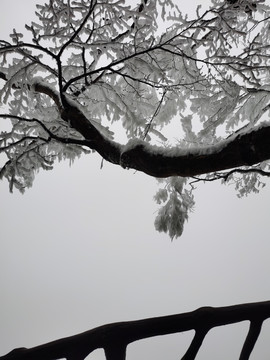 雪景