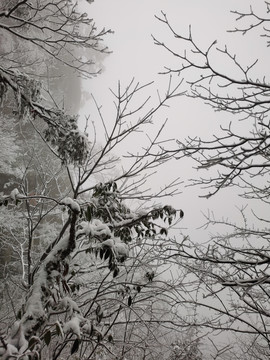 景区雪景