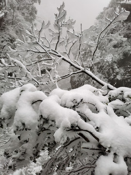 天门山雪景