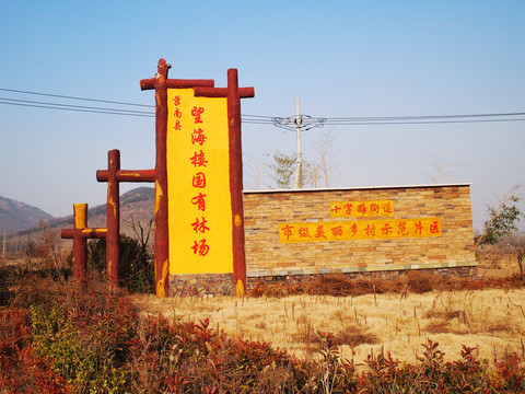 望海楼国有林场