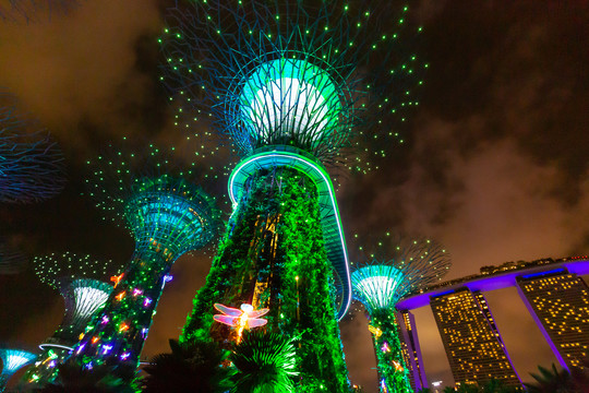 新加坡超级树