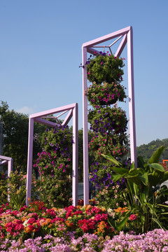 花卉景观展示