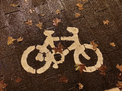 地面上的自行车标识