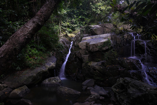 海南热带雨林风光