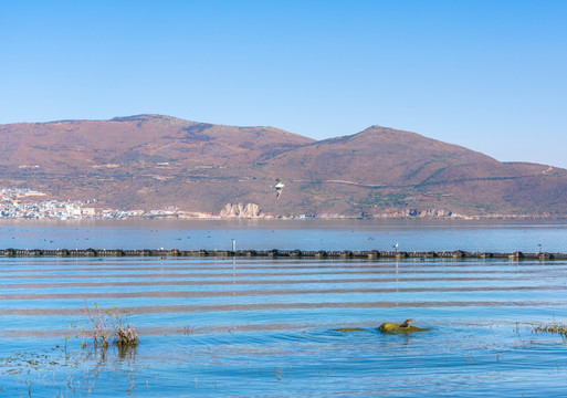 云南大理洱海的风景