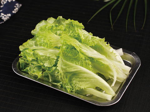 生菜