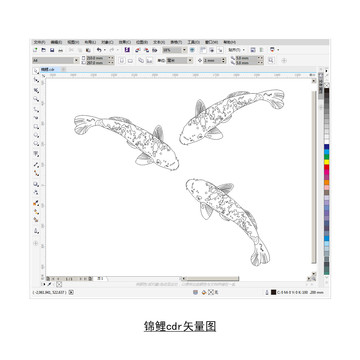 锦鲤cdr矢量图