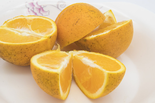 冰糖橙