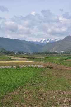 乡村风光