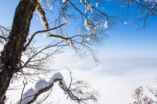 雪景