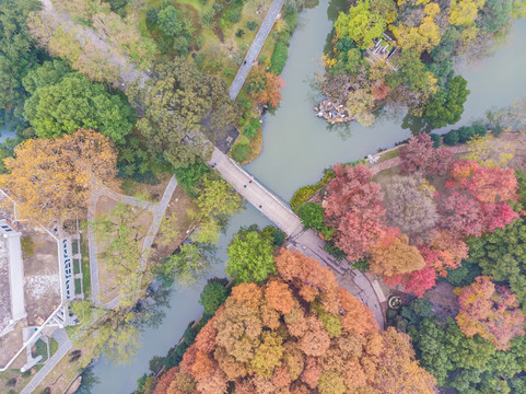 湖北武汉中山公园深秋初冬航拍风