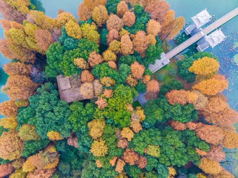 湖北武汉东湖风景区深秋初冬风光