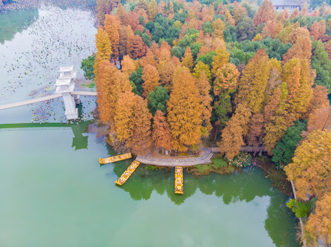 湖北武汉东湖风景区深秋初冬风光