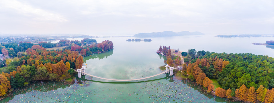 湖北武汉东湖风景区深秋初冬风光