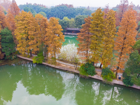 湖北武汉东湖风景区深秋初冬风光