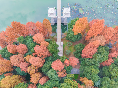 湖北武汉东湖风景区深秋初冬风光