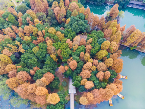 湖北武汉东湖风景区深秋初冬风光