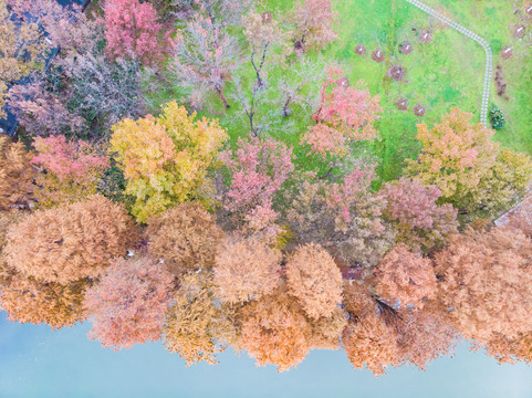湖北武汉东湖风景区深秋初冬风光