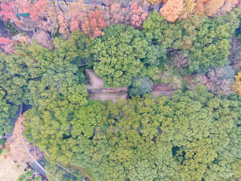 湖北武汉东湖风景区深秋初冬风光