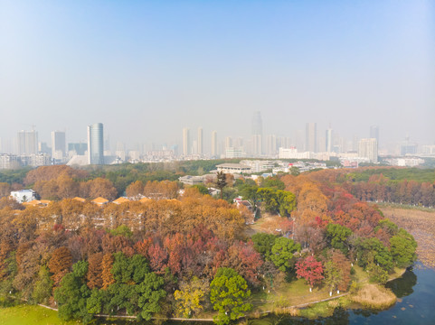 湖北武汉东湖风景区深秋初冬风光