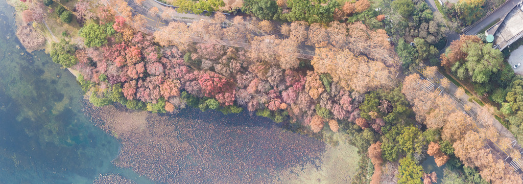 湖北武汉东湖风景区深秋初冬风光