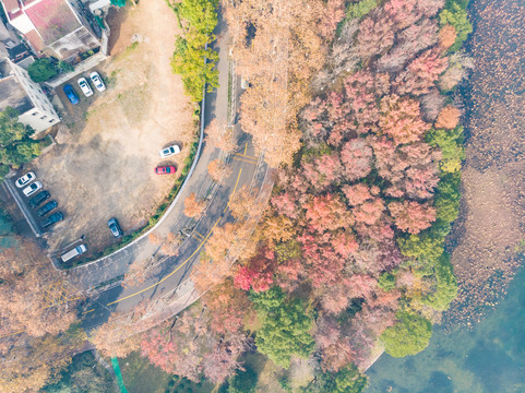 湖北武汉东湖风景区深秋初冬风光