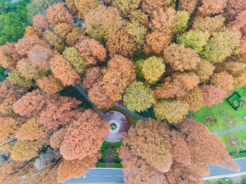 湖北武汉东湖风景区深秋初冬风光