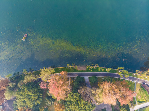 湖北武汉东湖风景区深秋初冬风光