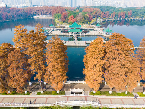 湖北武汉东湖风景区深秋初冬风光