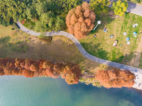 湖北武汉东湖风景区深秋初冬风光