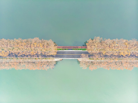 湖北武汉东湖风景区深秋初冬风光