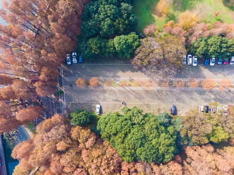 湖北武汉东湖风景区深秋初冬风光