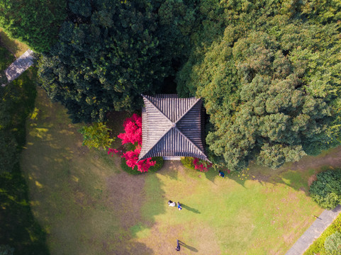 湖北武汉东湖风景区深秋初冬风光