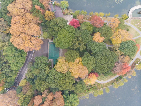 湖北武汉东湖风景区深秋初冬风光
