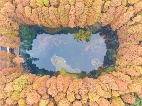 湖北武汉东湖风景区深秋初冬风光