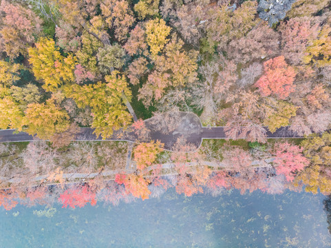 湖北武汉东湖风景区深秋初冬风光