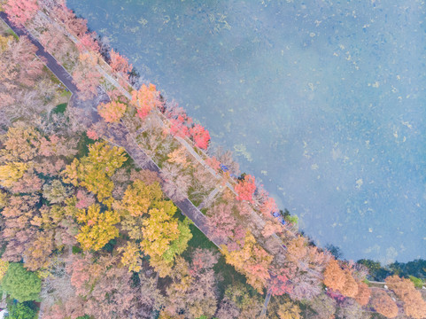 湖北武汉东湖风景区深秋初冬风光