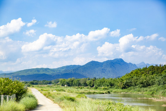 田间小路