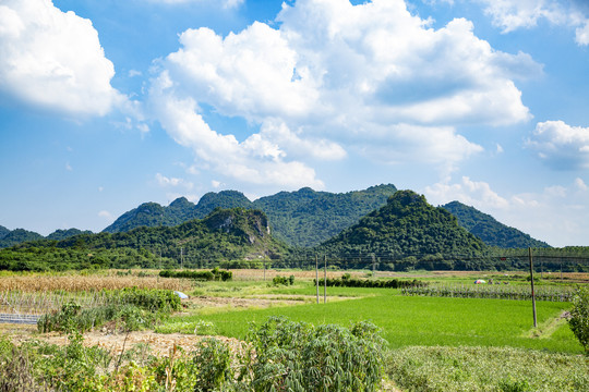 田园风光