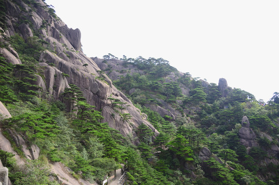 黄山
