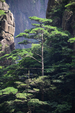 黄山