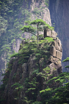 黄山