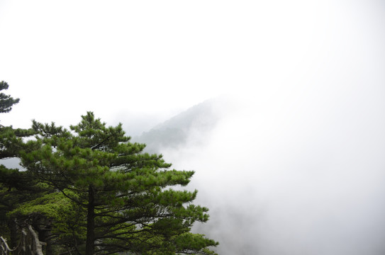 黄山