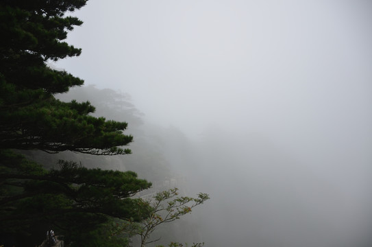 黄山