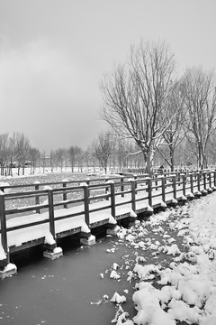 雪景