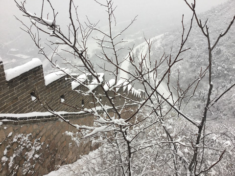 长城树木积雪