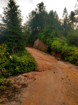 山间泥巴路