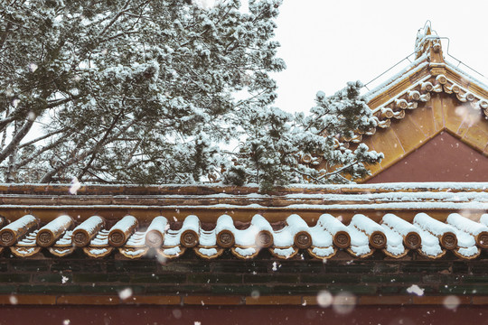 北京景区故宫博物院初雪