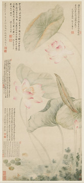 唐炗红莲绿藻图